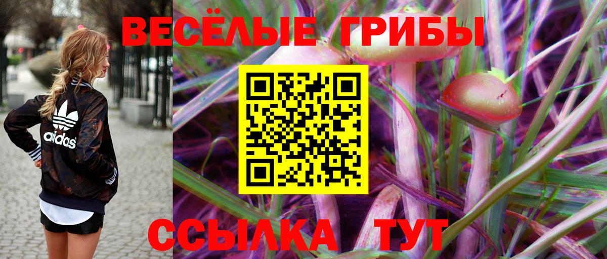 Шадринск  Галлюциногенные грибы MAGIC MUSHROOMS  Вход с VPN 